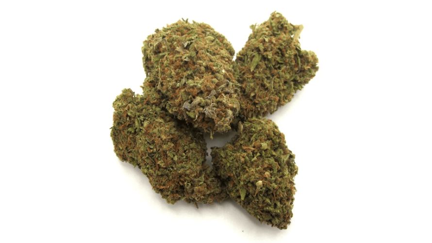 Sundae Driver is a chocolate lover's dream. It tastes like candies, freshly whipped cream, juicy fruits, and pure sugar. The aromas include earth, fruits, herbs, and more sweets.