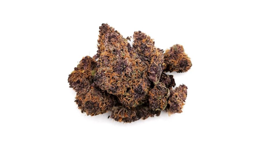 The Tropicana Cookies strain info boasts a vibrant terpene profile that complements its stunning visual appeal and potent effects, creating a full-bodied sensory experience. 
