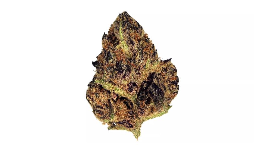 The Tropicana Cookies strain is well known not only for its vibrant aroma and striking appearance but also for its robust THC content. 