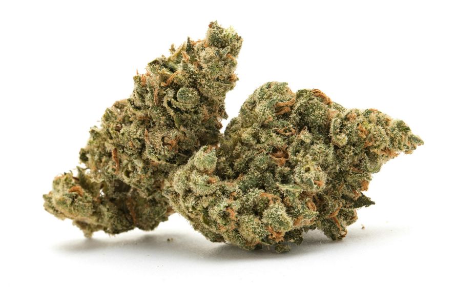 Explore the captivating world of Tropicana Cookies strain in this comprehensive review. Learn about its origins, effects and medicinal benefits.