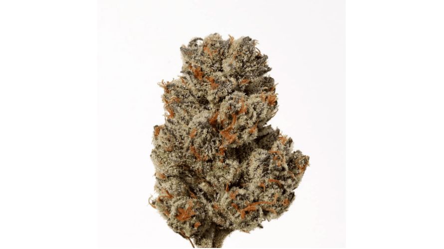 Ice Cream strain is an indica-dominant strain known for providing an indulgent high and creamy taste. It features 60% indica genetics and 40% sativa.