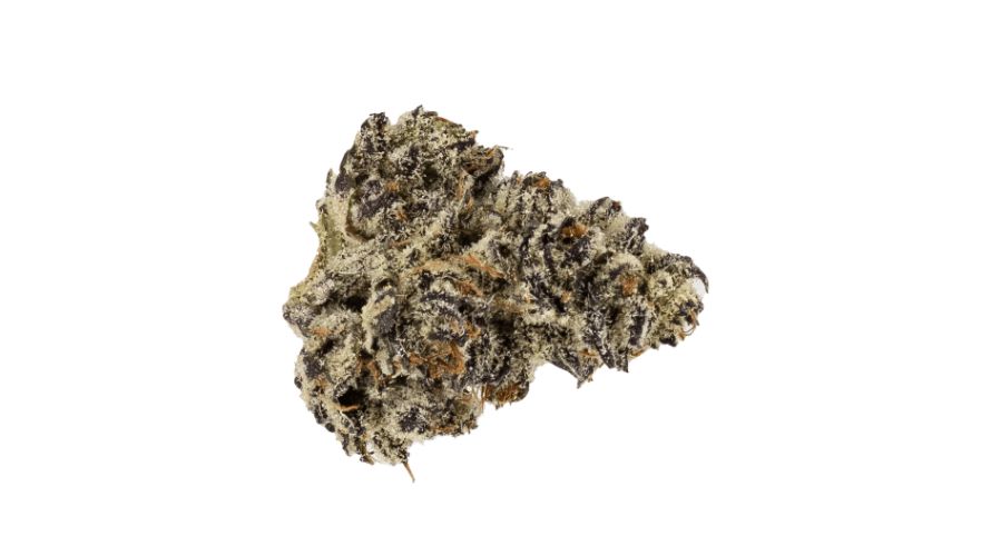 The White Truffle strain, resulting from the crossbreeding of Original Glue (Gorilla Glue #4) and Peanut Butter Breath, leans toward an Indica-dominant hybrid composition, with a genetic makeup of approximately 60% Indica and 40% Sativa. 