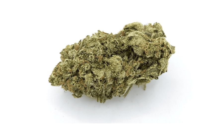 The White Truffle strain is distinguished by its impressive THC levels, which typically range between 18% and 26%. 
