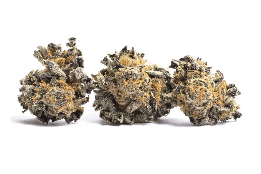 White Truffle Strain is one of the newest hybrid strains in the online weed dispensary world. Learn all here about this wonderful strain & the effects.