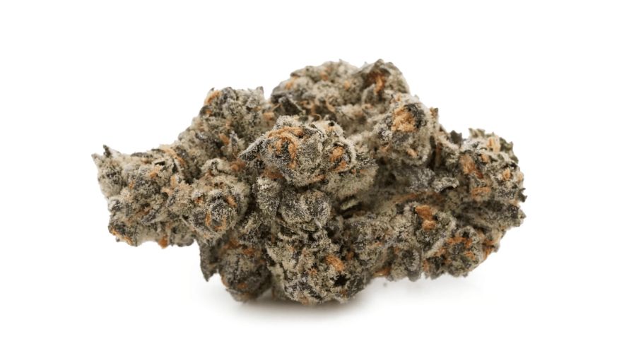 The White Truffle cannabis strain boasts a rich and complex terpene profile that contributes to its unique aroma and therapeutic effects. 