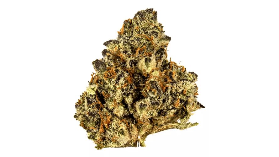 Well, the name “Wedding Pie” reflects the captivating flavour profile of this strain, which is compared to the celebratory nature of a wedding.