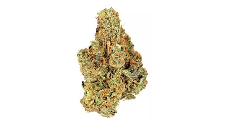 Known for its strong punch, AK47 strain induces an immediate and euphoric cerebral sensation upon consumption, which users often describe as uplifting, social, and creatively stimulating.