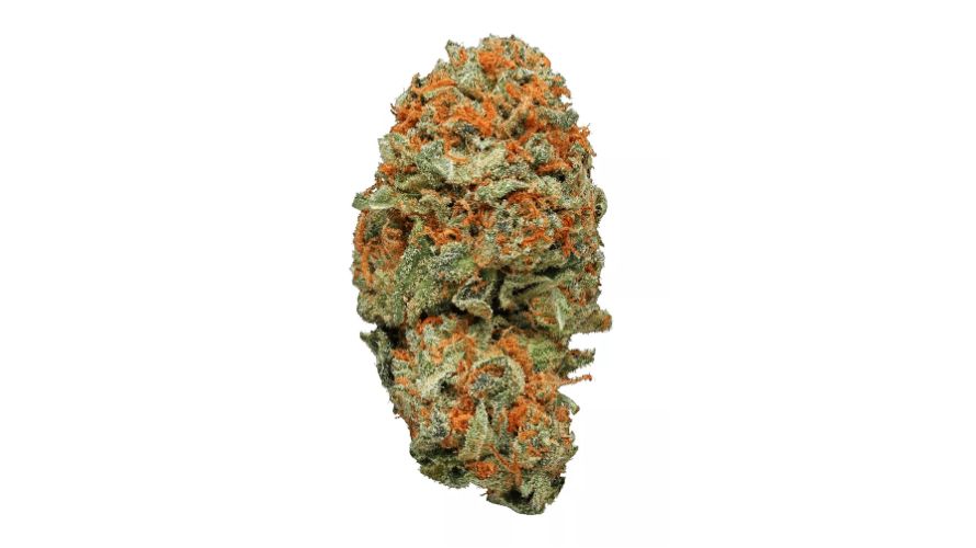 In terms of AK47 strain genetics, AK47 strain review is predominantly a sativa-dominant strain, with a genetic makeup that typically leans towards around 65% sativa and 35% indica.