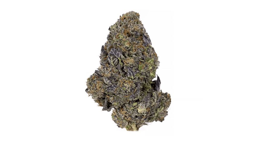 After reading this review, you're sure to make Apes in Space your go-to BC bud online for a chill, long-lasting euphoric trip. 