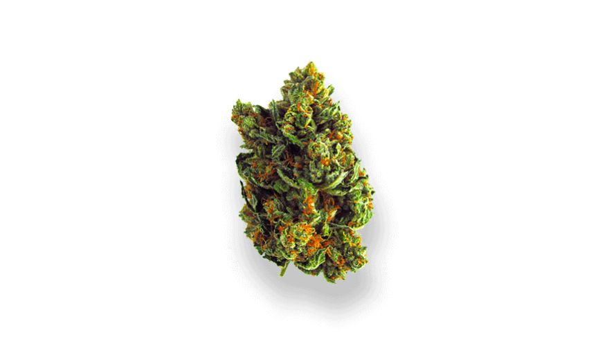 Shopping for BC bud online offers unparalleled convenience, allowing consumers to browse products, compare prices, and place orders from the comfort of their homes. 