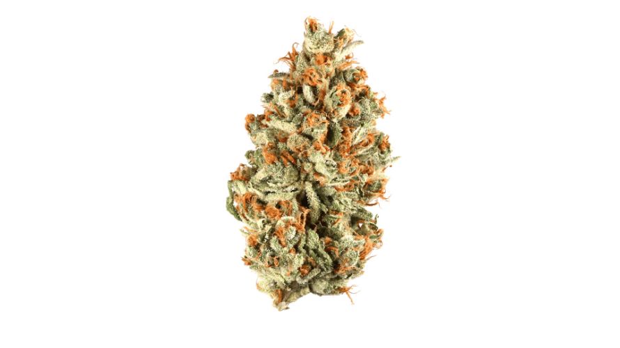 Goudaberry is also an ideal strain for anyone looking to enjoy the therapeutic benefits of weed. One of the most common applications of Goudaberry is to offer chronic pain relief. 