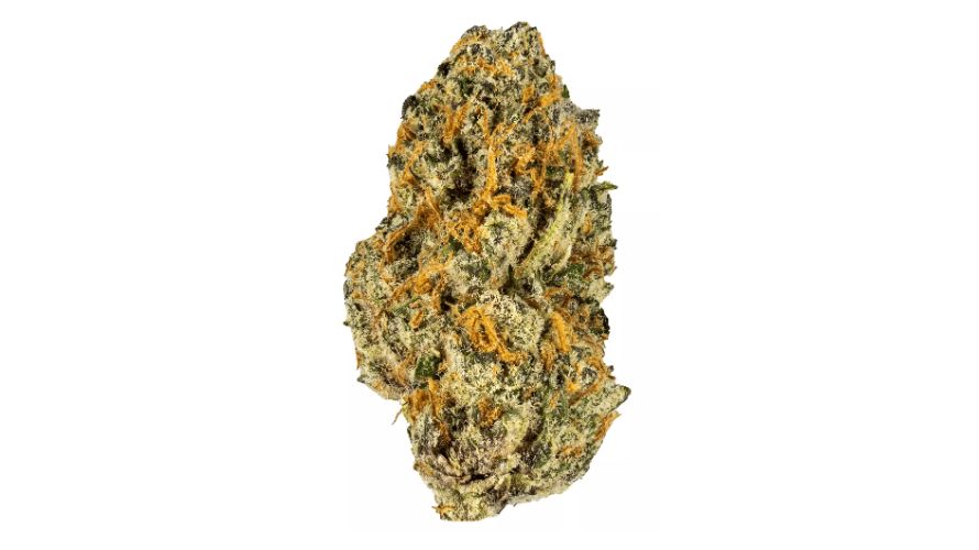 This strain is a result from a union of Black Cherry Pie and Purple Punch strains, underlining a lineage that guarantees a sensory journey like no other.