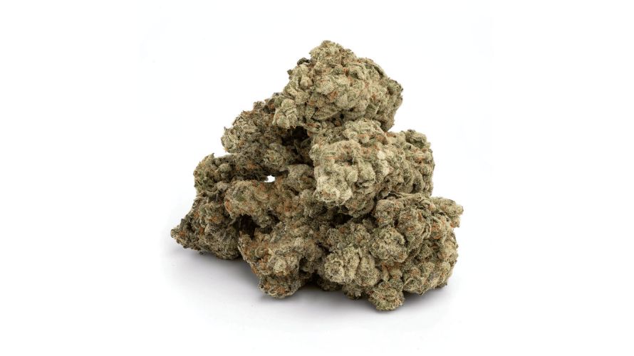 Black Cherry Punch strain is a beloved indica-dominant hybrid that offers a potent yet balanced experience, making it a great choice for those that buy cannabis online.