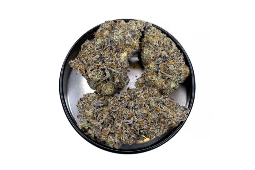 Find out all there is to know about Black Cherry Punch Strain, its effects & therapeutic benefits. Order weed online to try this premium experience.