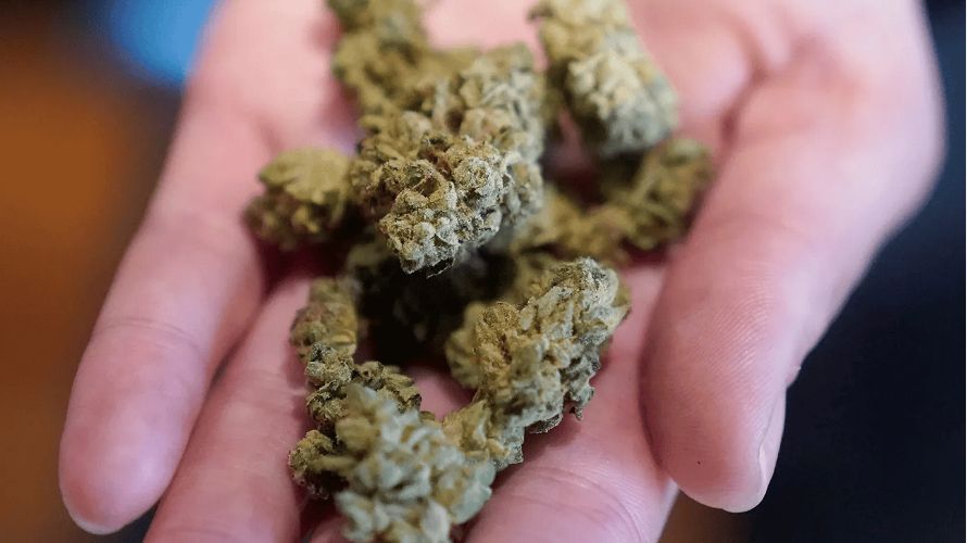 You can easily buy the cheapest weed online from the comfort of your couch. 