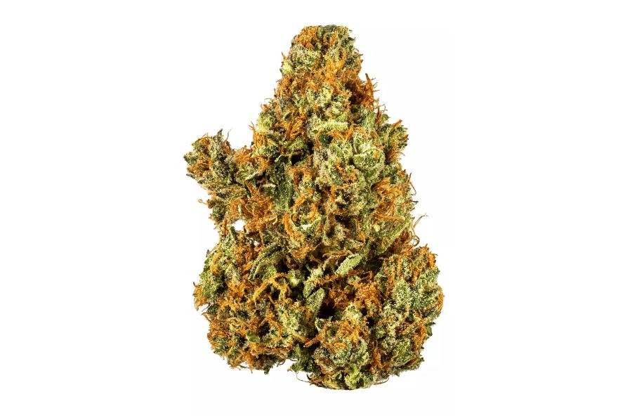 Learn what the Gorilla Glue strain is, its THC levels, potency, terpene profile, aroma, flavour and everything you need to buy Gorilla glue 4 online.