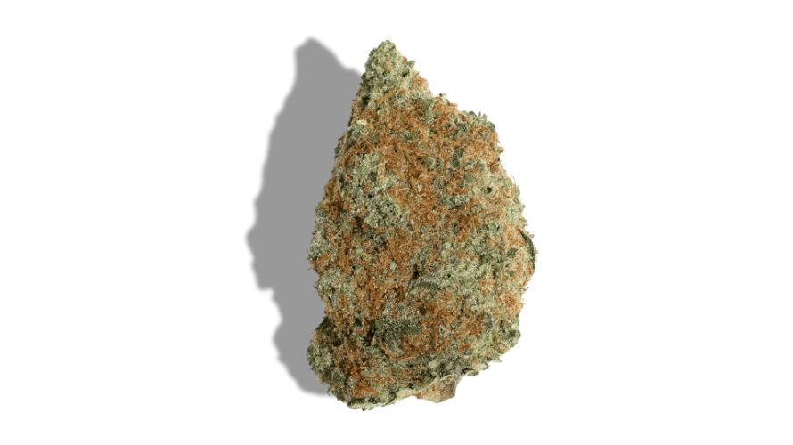 Godfather OG stands out as one of the most potent cannabis strains available today, with THC levels typically ranging between 20-30%.