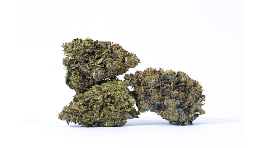 For many cannabis enthusiasts across Canada, the most convenient option to get potent strains such as the Godfather OG is to order weed online.