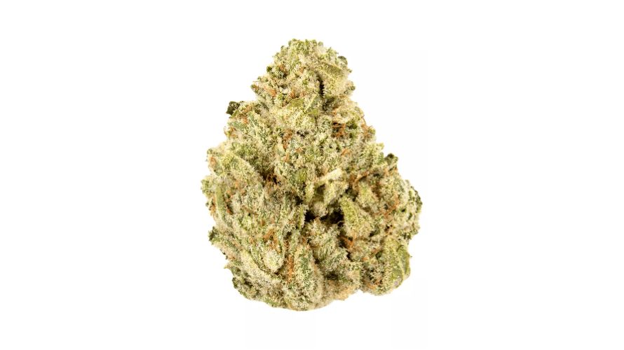 Gorilla Glue strain is known to have a robust terpene profile that contributes to its distinctive aroma and therapeutic potential.
