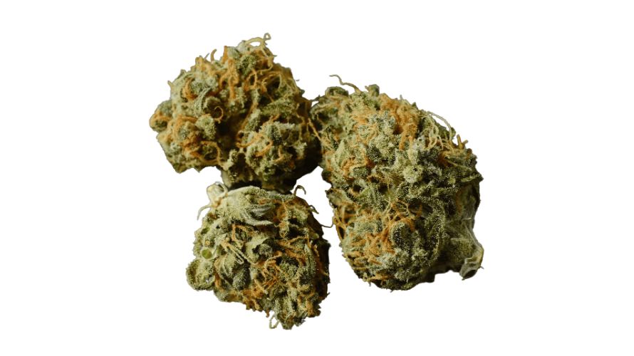 Known for its exceptionally high THC levels ranging from 18% to 32%, customers that buy Gorilla Glue 4 online should note that this strain delivers robust effects that are sure to appeal.