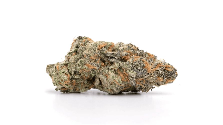 Goudaberry strain delivers a transformative experience for both mind and body. It boosts creativity and motivation and keeps you focused throughout the day. 