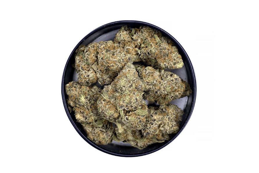 Goudaberry strain is not your everyday Sativa. Find out why this Sativa strain is ranked as a top-shelf weed and get a pinch of it at Chronic Farms. 
