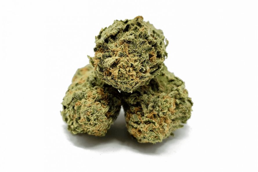 The M K Ultra strain is an indica-dominant hybrid known for its powerful effects & unique genetics. Discover all you need to know about this strain.