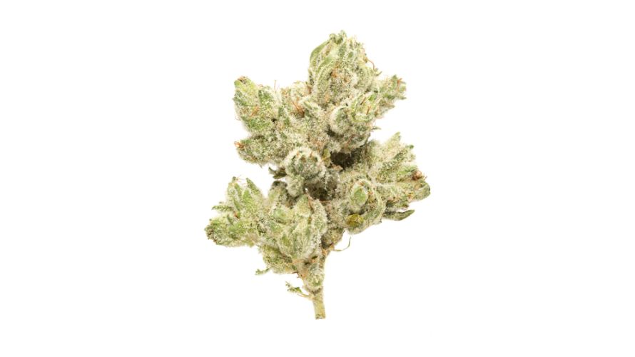 When it comes to ordering weed online, particularly M K Ultra weed, from an online weed dispensary, there are a plethora of benefits associated with it.