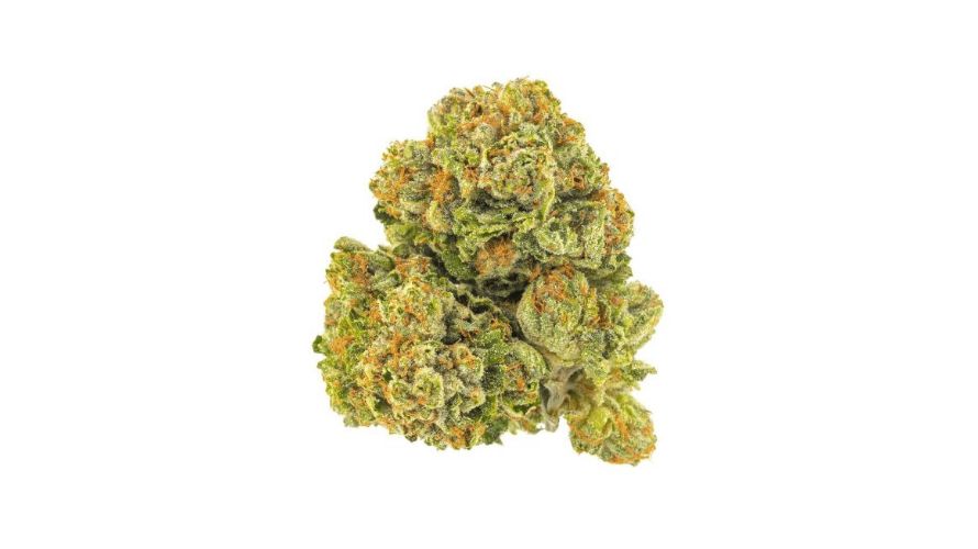 M K Ultra strain is a well-balanced hybrid that offers a range of benefits for both mental and physical health.