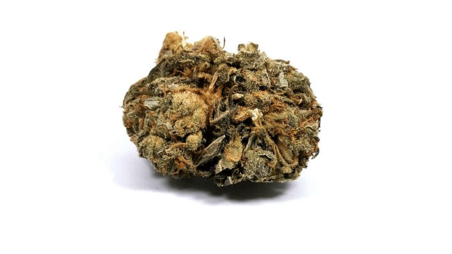 The M K Ultra weed strain is celebrated not only for its potent effects but also for its distinctive terpene profile that contributes to its unique aroma and flavours.