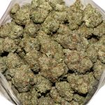 Motorbreath AAAA Bag