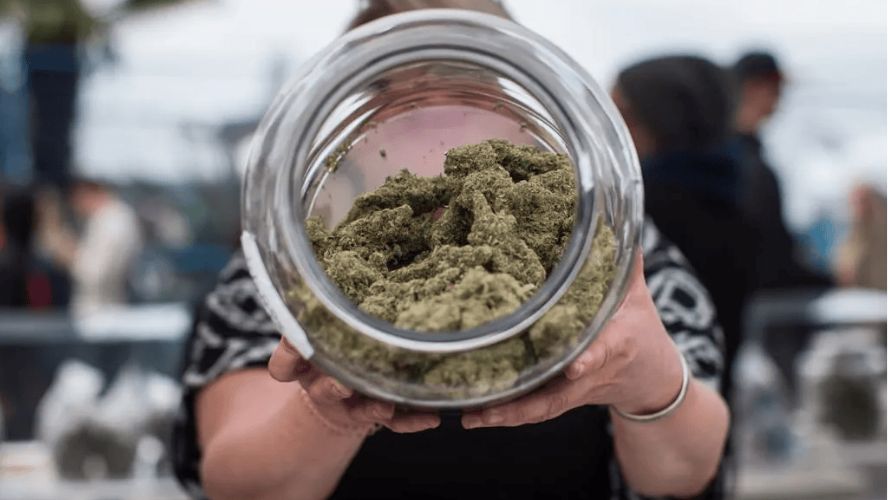 When it comes to buying BC weed online, opting for an online weed dispensary instead of a traditional brick-and-mortar store has its own advantages.