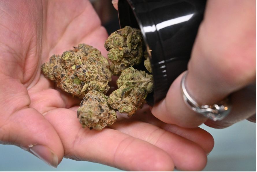 Online weed saves you time, effort and minimizes your weed budget. Here's what you've been missing about buying weed online in Canada. 