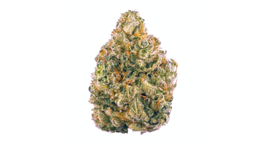 The first thing to know when it comes to AK47 strain info, is that this strain represents the ingenuity and dedication of cannabis breeders, particularly in its origins and subsequent rise to prominence.