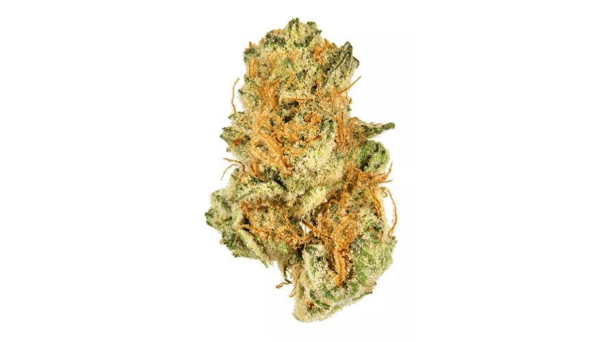 Donny Burger weed strain is a compelling hybrid that blends the esteemed genetics of GMO and Han-Solo Burger strains.