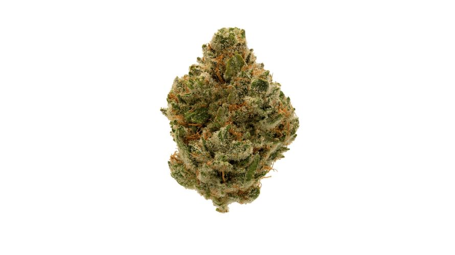 Gorilla Glue 4, often abbreviated as GG4, is a popular cannabis strain that emerged from the efforts of GG Strains LLC, based in Nevada.