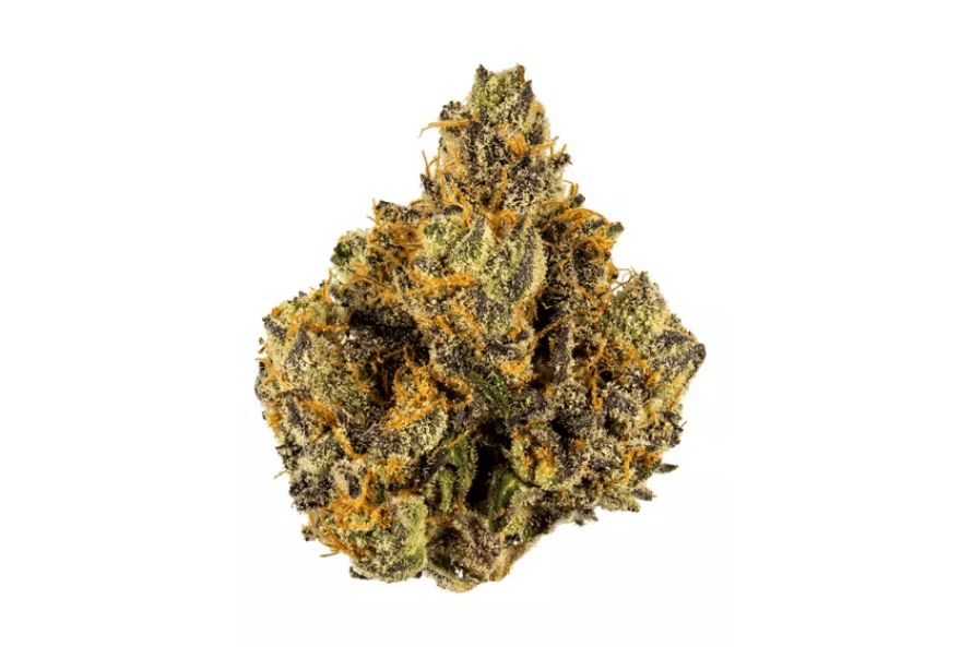 What are the best Sativa cannabis strains in Canada & how will they make you feel? How strong are Sativas? Are they suitable for day-time use?