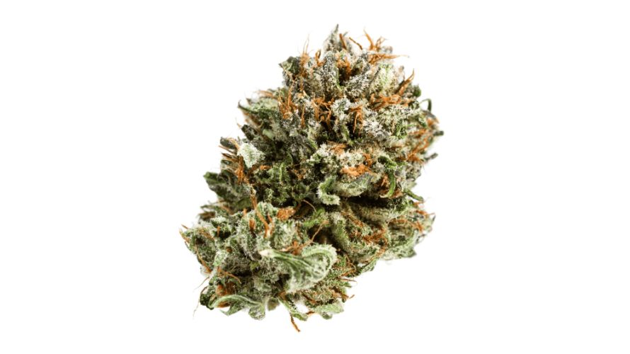 It is an indica-dominant hybrid that offers THC levels ranging from 27% to 30%, making it a great choice for those searching for a powerful high.