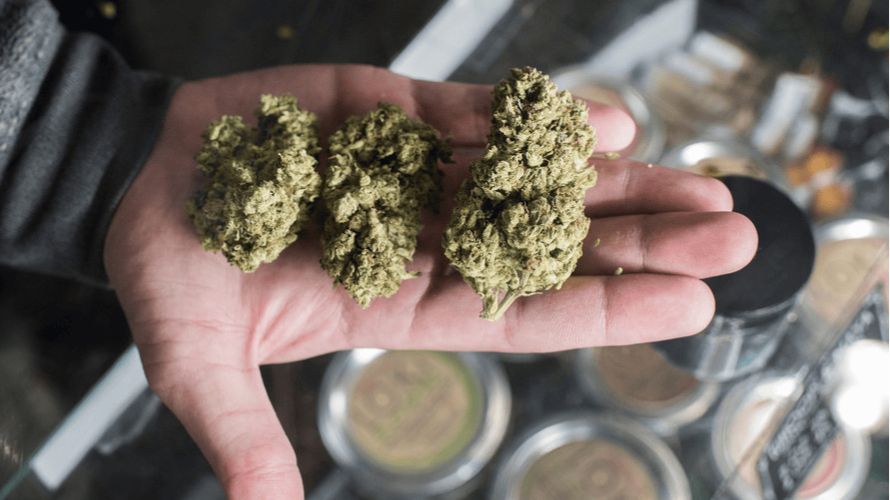 When it comes to buying weed online, consumers typically have a ton of options to select from, with the best online dispensaries catering to every need and preference.