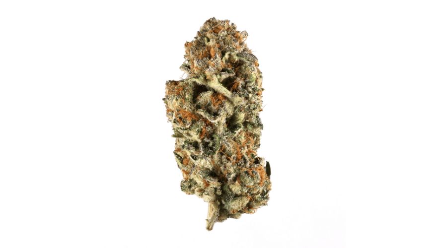 Apes in Space is an Indica-dominant hybrid strain with an Indica to Sativa ratio of 70 to 30 percent.