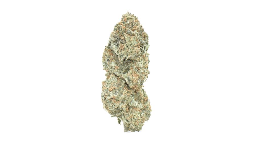 The Great White weed, is celebrated for its balanced and potent effects, making it a popular choice among cannabis enthusiasts.