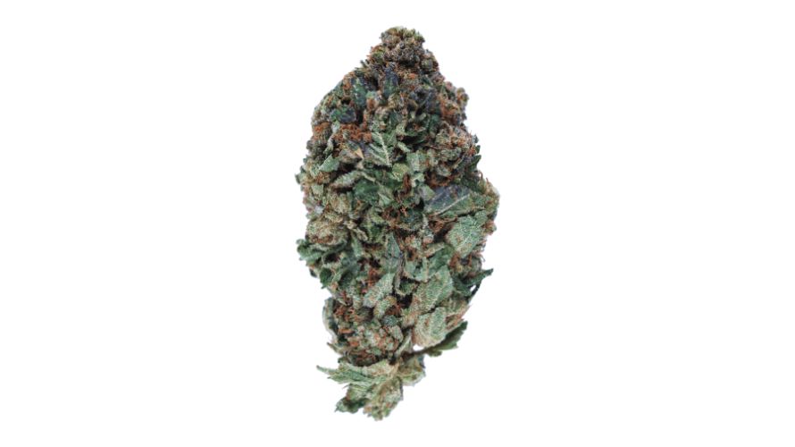 Lindsay OG will drive you into relaxation within no time due to its high THC levels. This strain contains a whooping 25% THC, which places it in the heavyweight category at the top of the shelf. 