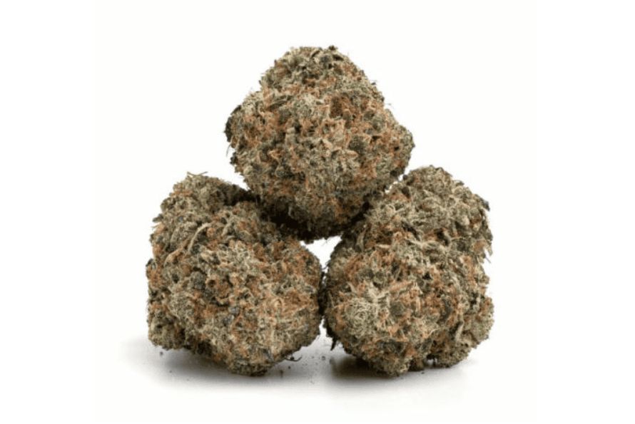 Lindsay OG strain defines the Canadian weed heritage. Find out more about this strain in this guide and grab a pack at Chronic Farms. 