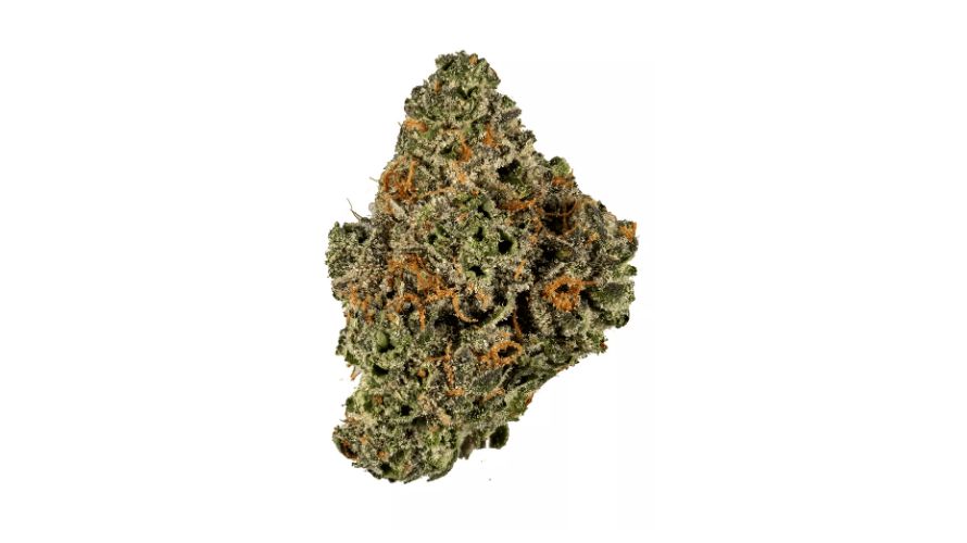 Dolato strain boasts a rich lineage, combining Do-Si-Dos and Gelato #41.