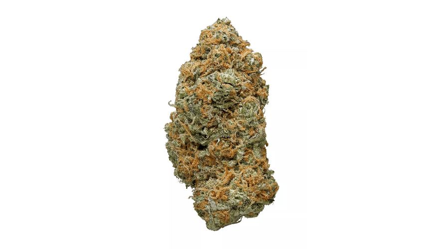 Lemon Cookies weed strain is a compelling hybrid that blends the esteemed genetics of Lemon Haze and Girl Scout Cookies strains.