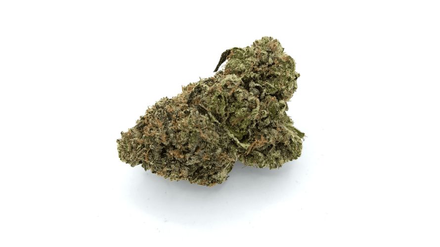 Rockstar Tuna is an Indica strain with approximately 90% Indica genetics and only 10% Sativa. 