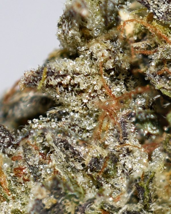 Special K AAAA+ Trichomes