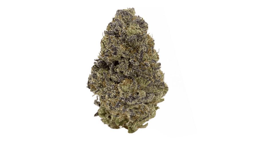 Terpenes are aromatic and flavourful compounds that make up the Platinum Kush strain. 