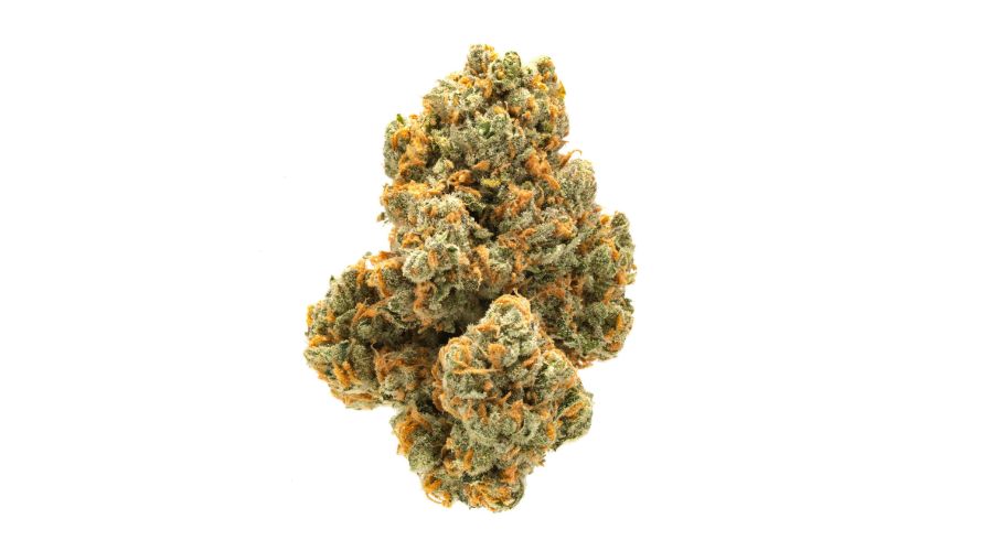 Green Crack lives up to its name. Its vibrant green, conical-shaped buds with darker shades will immediately catch your eye.