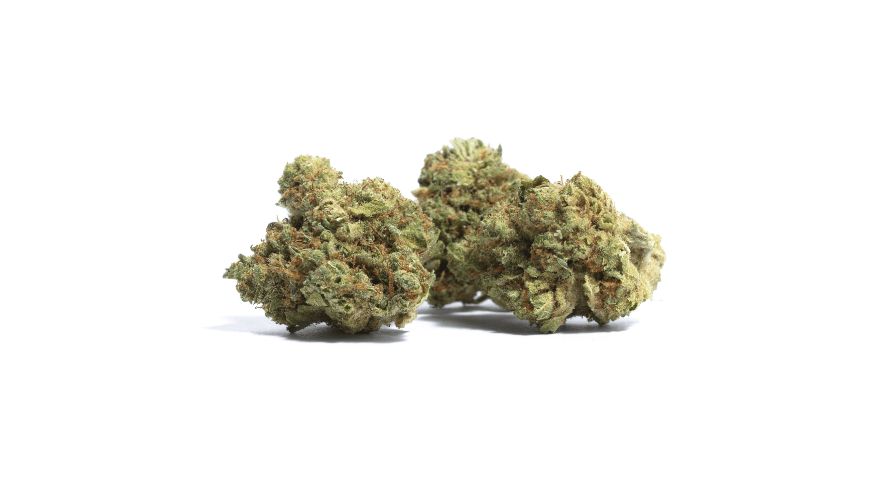 It's no secret that Mango Haze is every stoner's desire. However, you need to ensure that you're getting high-quality weed that's worth every cent. 